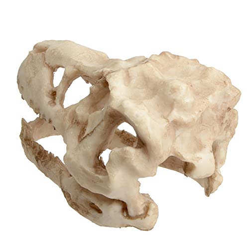 Fish Tank Decorations Dinosaur Skull Decor Resin Aquarium Decoration Accessories for Small Betta Fish, Hermit Crab Hideout Caves, Reptile House Ornament