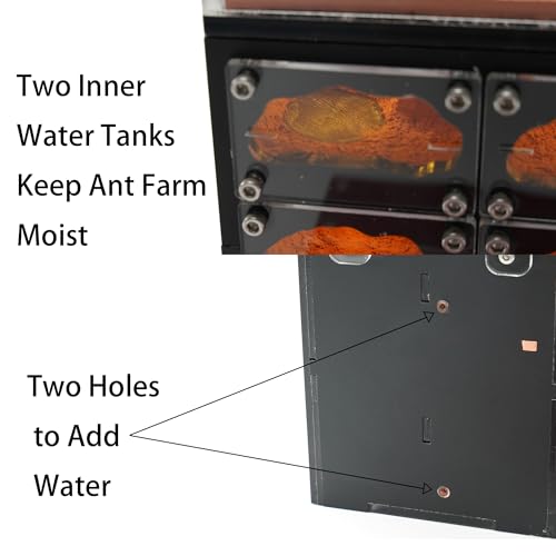 Lumen Hotel Ant Farm Nest with Built-in LED Lights, Hydration System, Trash Box & Ant Keeping Starter Kit - color: Hotel