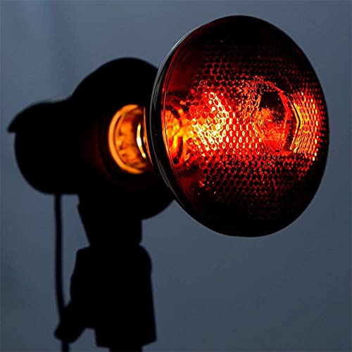2 Pack 250W Red Heat Lamp Infrared Bulbs Heavy Duty PAR38 Glass Lamp for Food Service, Brooder Bulb, Chicks, Pet, Bathroom, Light Therapy Use E26 Base, Flood Light Heat Bulb. - size: ZX-250W
