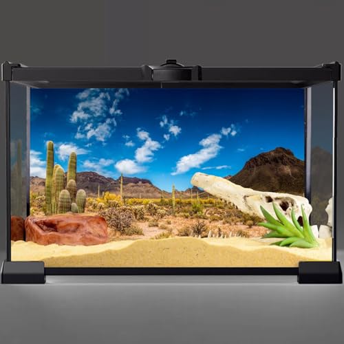 AWERT 30x18 inches Reptile Habitat Background Blue Sky Oasis Cactus Desert Terrarium Background Vinyl - size: 30x18in/75x45cm