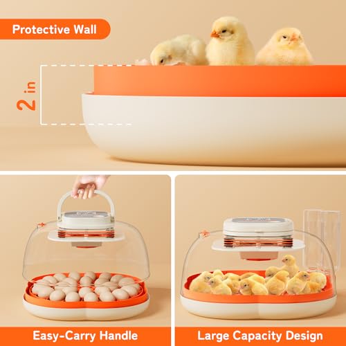 APDOE Egg Incubators for Hatching Eggs, Temperature and Humidity Control, Automatic Egg Turning, Egg Candler, External Water Bottle, Air Vent, for Chicken, Duck & Quail Eggs, 25 Eggs - size: 25 Eggs