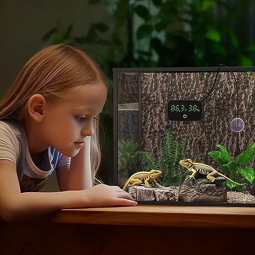 PAIZOO Reptile Thermometer Hygrometer, LED Digital Terrarium Thermometer and Humidity Gauge Snake Tank Accessories with USB Charging for Bearded Dragon, Tortoise, Reptile Tank, (Include 31.5'' Cable)
