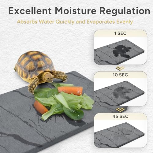 Reptile Basking Platform, 5.9''x9.8'' Diatomaceous Earth Feeding Mat Slate Habitat Accessories for Bearded Dragon Tortoise Lizard Gecko Snake Turtle Tank - size: 5.9''x9.8''