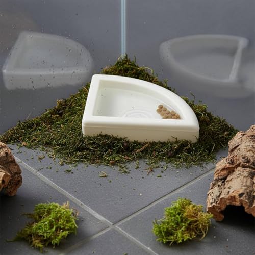 Split Design Reptile Bowl Multi-Functional Corner Reptile Food Bowl Material Terrarium Accessory, L - size: L