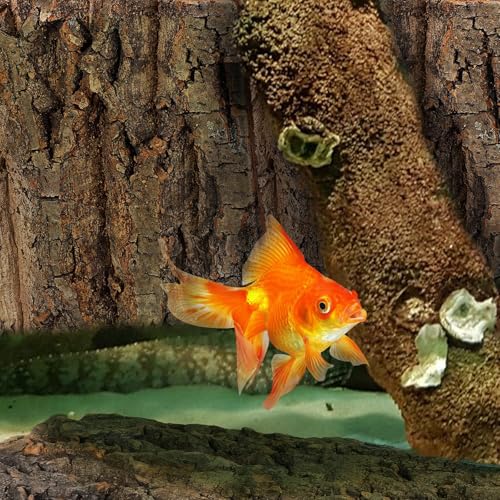 Totority Cork Bark Background 4-Piece Natural Cork Bark Sheets 3D Terrarium Backdrop for Bearded Dragon Gecko Lizard Frog Tank or Aquarium, Easy-Place Reptile Habitat Decor