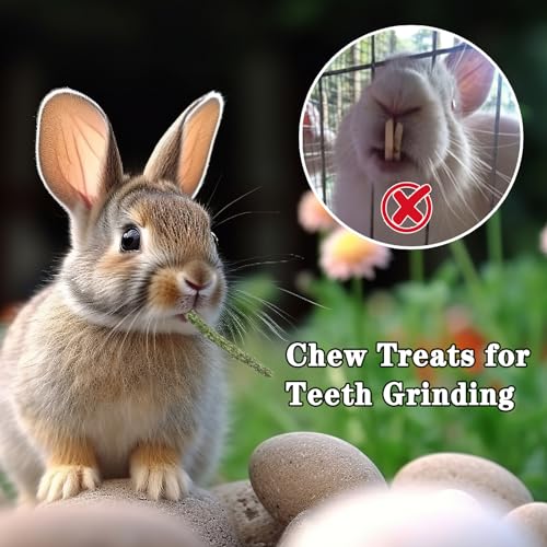 Timothy Hay Pellets 6.4oz for Rabbits & Tortoises | 100% premium timothy pellets with balanced nutrition for rabbits and tortoises