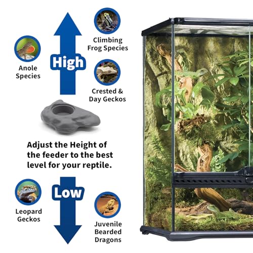 Pangea Silicone Gecko Feeding Ledge - Magnetic Mini Food Dish for Reptile Tank - 4.125" x 2.625" x 1.18" - Fits 0.5oz Cups (Gray) - color: Gray