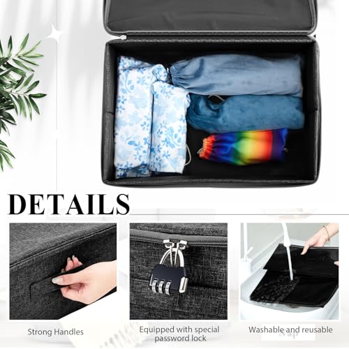 Briwooody Discreet Lockable Toy Bag,Black,15 X 10 X 6.3 In - color: Black, size: 15 x 10 x 6.3 Inch