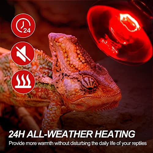 WACOOL 2Pack 100W Reptile Heat Lamp Day & Night Kit, Nature Simulated Basking Daylight & Nightlight Heat Lamp Bulbs for Reptiles & Amphibians, UVA Heat Lamp for Bearded Dragon Gecko Turtle Lizard - style: 100W-2 PACK