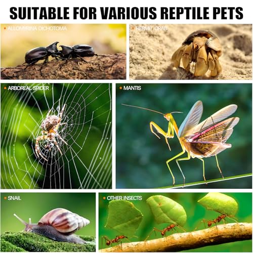 3x3x6 Reptile Tank 0.25 Gallon – Acrylic Reptile Enclosure Terrarium for Crested Gecko, Lizards, Spiders & Snakes – Clear Lizard Habitat Terrarium - size: 3"3"6"