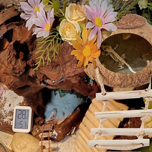 Crested Gecko Coconut Hide with Ladder Shell Natural,Reptile Coco Hut Cave Habitat with Suction Cup Terrarium Décor for Hermit Crab, Lizard, Leopard Gecko Snake Reptiles