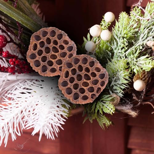 Dried Lotus Pods Pack of 25 Pods for Floral Arrangement and Home Decor,Natural Seed Heads for Vase Fillers, Dried Flower Centerpieces
