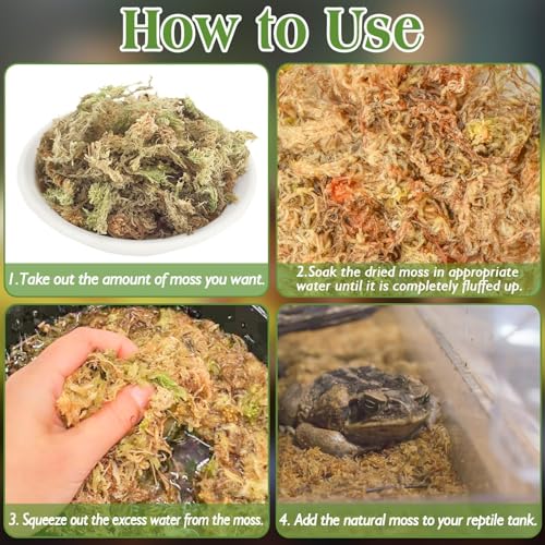 Halatool 1.1LB Sphagnum Moss for Reptiles(Turtles, Geckos, Snakes, Frogs, Hamsters), Natural Forest Long Fibered Dried Moss Bulk for Reptiles Substrate & Bedding - 25QT Reptile Habitat Accessories - size: 1.1 LB