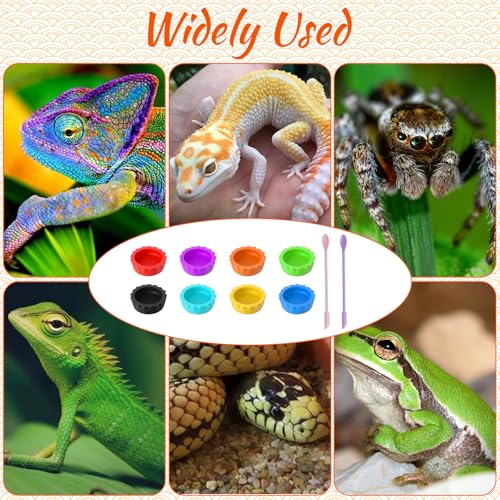 10 PCS Crested Gecko Food Dish Silicone Gecko Feeding Dishes Bowls and Spoon Bearded Dragon Crested Tank Accessories Reusable Reptile Dish with Feeding Spoons for Reptile Tanks Lizard Water Food