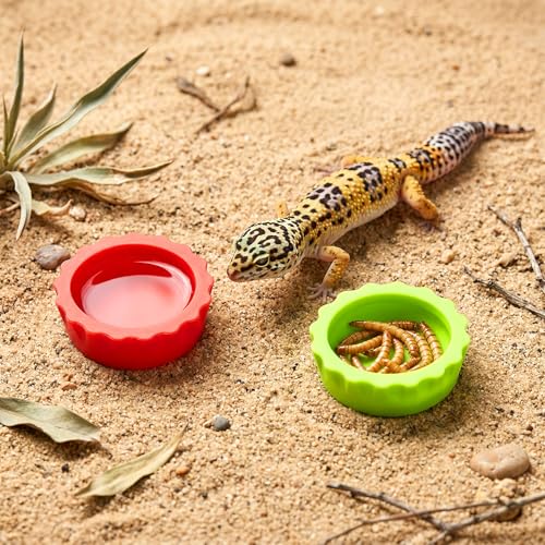 10 PCS Crested Gecko Food Dish Silicone Gecko Feeding Dishes Bowls and Spoon Bearded Dragon Crested Tank Accessories Reusable Reptile Dish with Feeding Spoons for Reptile Tanks Lizard Water Food