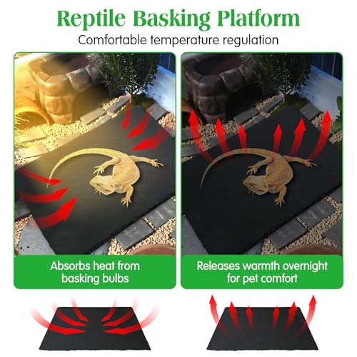 Tfwadmx Reptile Basking Platform Tortoise Feeding Dish Natural Rock Food Bowl Landscape Habitat Decor for Turtle Lizard Bearded Dragon Crested Gecko Snake 2Pcs - size: 2pcs-12"x6"
