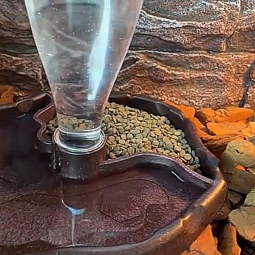 Healifty Automatic Reptile Water Feeder and Lizard Food Dish with Deep Brown Reservoir Bowl for Tortoise and Bearded Dragon Terrarium Use