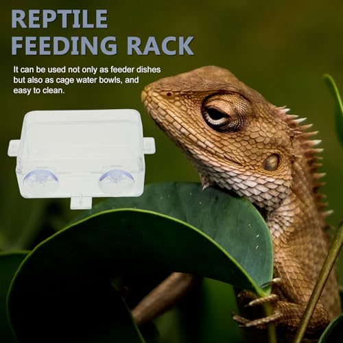 Amosfun Anti-Escape Reptile Feeding Bowl with Suction Cups, Large Food and Water Dish for Lizards, Geckos, Bearded Dragons – 2pcs Reptile Pet Feeders for Terrarium Use