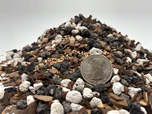 Bonsai Soil by The Bonsai Supply – 4qts. Professional Bonsai Soil Mix | Ready to use| Great for All Bonsai Tree Varieties. - size: 4 Quarts Professional Mix
