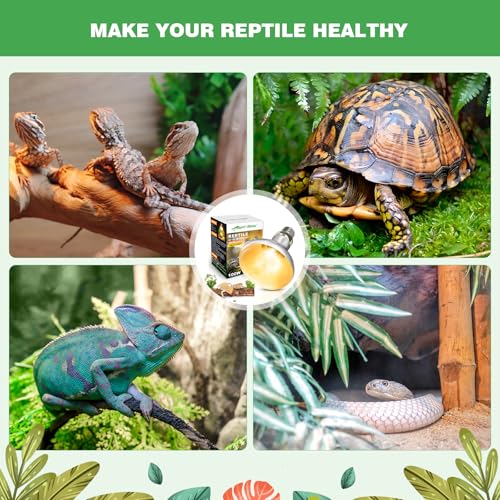 100W Reptile Heat Lamp Bulbs, Full Spectrum UVA/UVB Reptile Light Bulb and Basking Spot Light, UVB Light for Reptiles and Bearded Dragon, Turtle, Lizard, Snake, Amphibians - style: 100W UVB Bulbs
