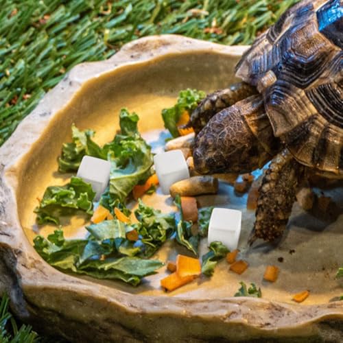 30pcs Reptile Calcium Blocks for Turtles Tortoises Lizards Amphibians Essential Mineral Nutrient for Pet Health and Shell Growth