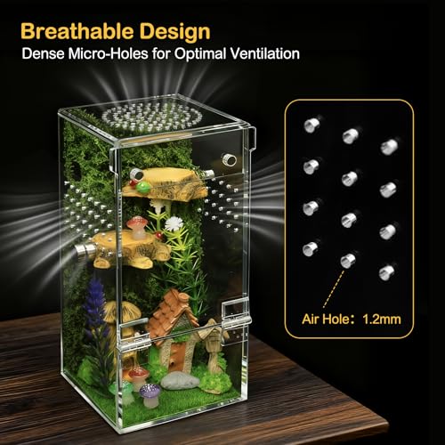 Jumping Spider Enclosure Starter Kit,Escape Proof Reptile Terrarium | Praying Mantis Terrariums,Transparent Acrylic Complete Bug Habitat,All In One Arboreal Tarantula Cribs Cage,Insect Container - size: Small