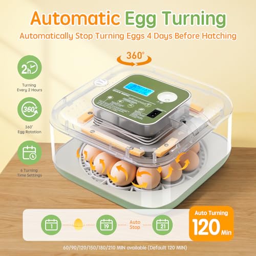 Incubator for Hatching Eggs Automatic Humidity and Temperature Control 12 Eggs Incubator, Digital Display Auto Turner 360° View Egg Candler for Chicken, Duck and Quail Bird Eggs