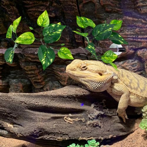 minkissy 2pcs Artificial Reptile Vines with Realistic Texture Flexible Plastic Jungle Climbing Branches for Snake and Lizard Terrarium Tank Accessories