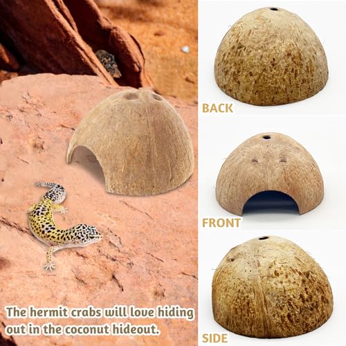 PINVNBY 4 PCS Natural Coconut Reptile Hideouts Lizard Coco Hut Hermit Crab Hut Aquarium Fish Hide Cave Spider Snail Climber Toys - size: 4 PCS Smooth Surface
