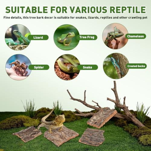 4Pcs Reptile Bark Climbing Platforms Natural Cork Wood Terrarium Decor Reptile Hideouts Tank Accessories for Snakes Lizards Small Pets