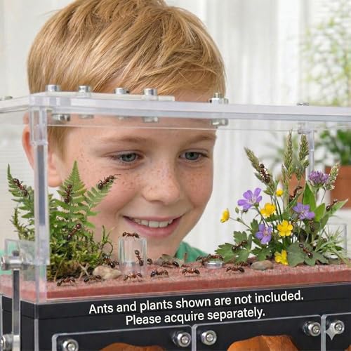 Lumen Hotel Ant Farm Nest with Built-in LED Lights, Hydration System, Trash Box & Ant Keeping Starter Kit - color: Hotel