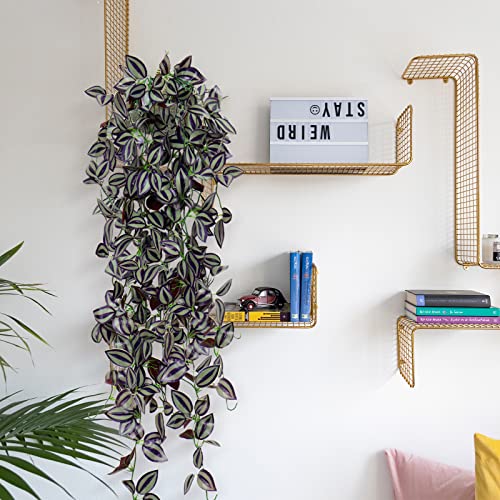TOCHGREEN 3pcs Artificial Hanging Plants-3.6ft Fake Ivy Vine Purple Fake Ivy Leaves Faux Hanging Scindapsus Vine for Wall House Room Party Garden Indoor Outdoor Decoration