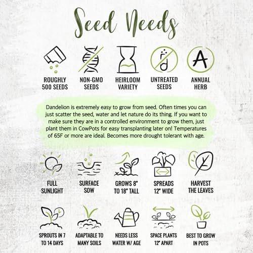 Seed Needs Dandelion Seeds to Plant Heirloom & Non-GMO Herbs 5 Packs - size: 5 Packs, style: Common Dandelion