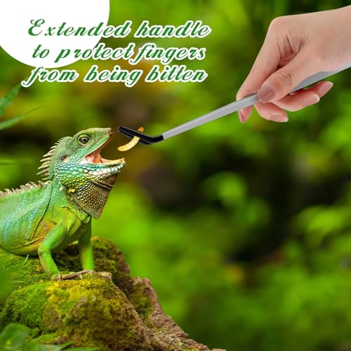 Lasnten 2 Pcs Stainless Steel Reptile Feeding Tong, Feeding Spoon for Bearded Dragon Snake, 10.5'' Aquarium Curved Tweezer with Rubber Tip, Terrarium Feeder Tool for Crested Gecko Tank Accessories