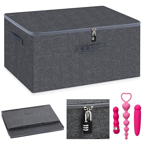 Briwooody Lockable Toy Storage Box,Gray,19.3 X 14.6 X 11.8 Inch - color: Gray, size: 19.3 x 14.6 x 11.8 Inch