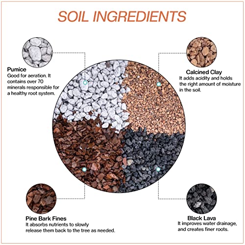 Bonsai Soil by The Bonsai Supply – 2qts. Professional Bonsai Soil Micro Mix | Ready to use| Great for All Bonsai Tree Varieties. - size: 2 Quarts Micro Mix / Shohin