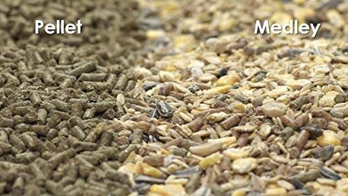 Kaytee Food from The Wild Natural Pet Rabbit Food, 4 Pound - size: 4 Pound (Pack of 1)