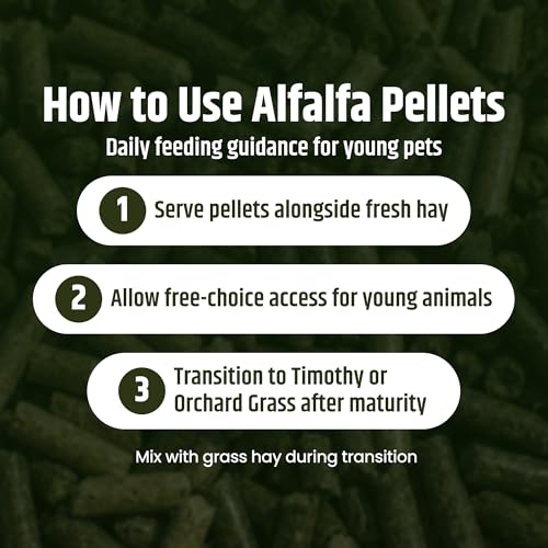 High Desert Delight Alfalfa Pellets, Protein Rich Small Animal Food for Young Rabbits Guinea Pigs and Small Pets, Natural Fiber Alfalfa Hay Pellets for Digestive Health, Fresh Hand Packed 15 oz Bag - size: 1 Pound (Pack of 1)