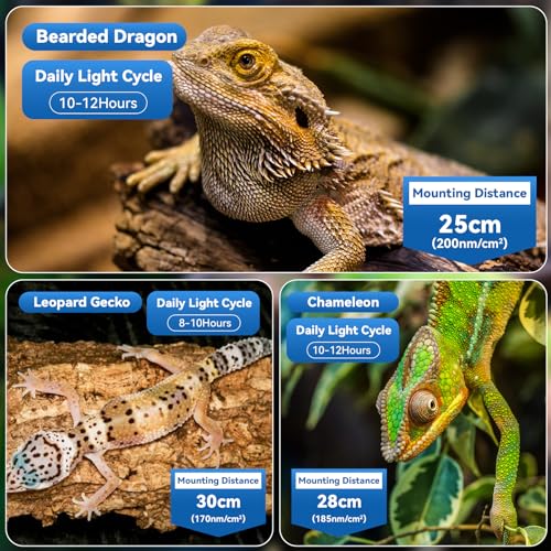 HNRLOY UVB Reptile Light, 9W UVA UVB Dimmable LED Reptile Lamp for Bearded Dragon, Chameleon, Turtles, Gecko, Snake, Lizard, Adjustable 6/10/12H Timer, Dimmable with 3 Lighting Modes - size: 4.9Inch