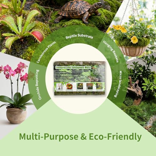 Compressed Sphagnum Moss for Plants & Reptiles (2pc)– Dried Peat Moss, Moisture-Retentive for Indoor Plants, Orchids, Terrariums, Reptile Bedding (100% Natural, Reptile-Safe - size: 2PCS