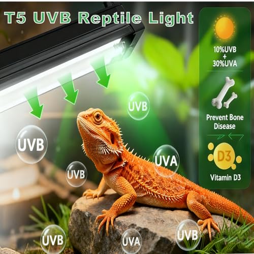 T5 HO UVB Lighting Kit, 8W Terrarium Hood with Detachable Curved Reflector, Desert 10.0 UVB T5 Lamp (8 Watts) - size: 8 Watts