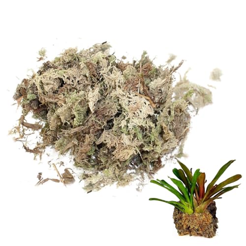 Sphagnum Moss Dried Spagnum Dry Moss for Reptiles Bedding and Terrarium Pet Supplies 150g