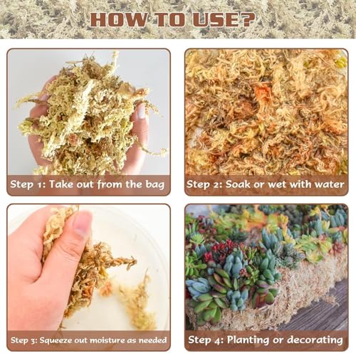 ZeeDix 4 qt Sphagnum Moss for Indoor Plants, Natural Dried Long Fiber Moss for Orchid Repotting, Carnivorous Plants, Succulents, Monstera, Flower & Reptile Terrariums Habitats (3 oz) - size: 3oz