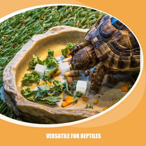30pcs Reptile Calcium Blocks for Turtles Tortoises Lizards Amphibians Essential Mineral Nutrient for Pet Health and Shell Growth