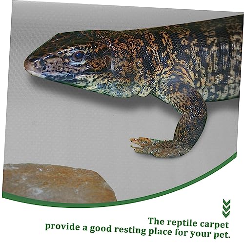POPETPOP Crawling Carpet Reptile Accessories Snake Terrarium Mat for Bearded Dragon - color: White
