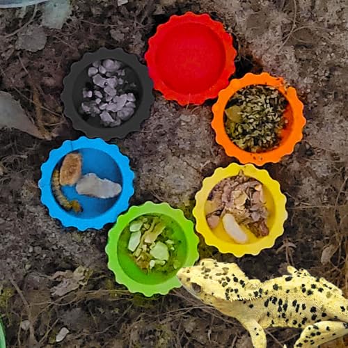 10 Pack Crested Gecko Food and Water Feeding Cups, Reusable Reptile Feeder Dish Tank Accessories for Hermit Crab, Small Lizard, Tarantula, Isopods, Tortoise Colorful