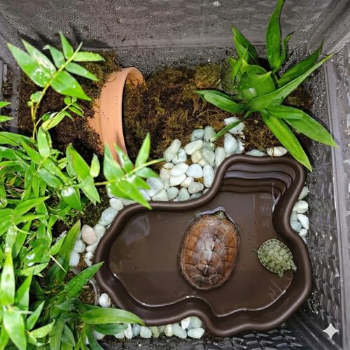 Extra Large Reptile Bathing Pool Reptile Feeding Dish Water Bowl with Ramp Aquarium Ornament for Gecko, Snake, Turtle, Bearded Dragon, Lizard Bath (Black)