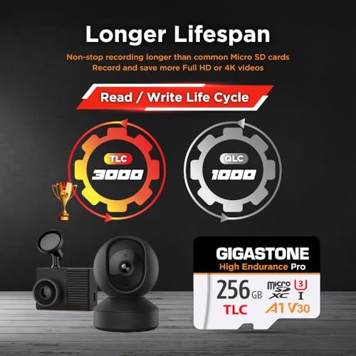 【5 Yrs Free Data Recovery】【Dash Cam】 GIGASTONE 256GB Micro SD Card, TLC High Endurance Pro, Speed Up to 100MB/s, Compatible with REDTIGER Rove VIOFO VANTRUE PRUVEEO ARIFAYZ, MicroSDXC UHS-I A1 V30 U3 - color: 256GB High Endurance Pro 1-Pack