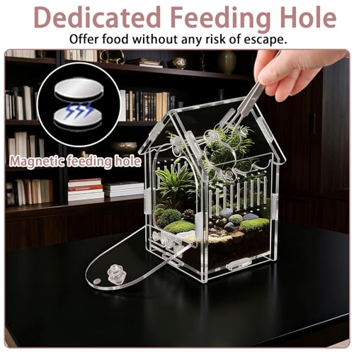 Acrylic Jumping Spider Enclosure 3.15"x3.15"x5.6" – Magnetic Front Opening Terrarium for Tarantulas, Mantis & Small Reptiles | Escape-Proof Habitat with Ventilation & No-Tool Assembly - size: 3.15 x 3.15 x 5.6 inches