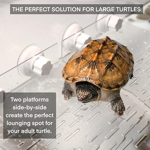 2Pcs Turtle Basking Platform for Aquarium, Turtle Floating Platform for Tank, Docks for Basking with Two Sucker Cap, 8" Width Resting, Area Acrylic Material for Reptile
